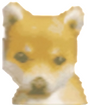 shiba inu $560
